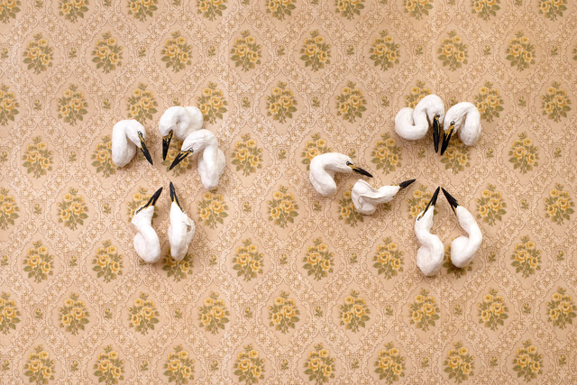 Elisabeth Lincot, ‘Egrets’, 2019, Antonine Catzéflis