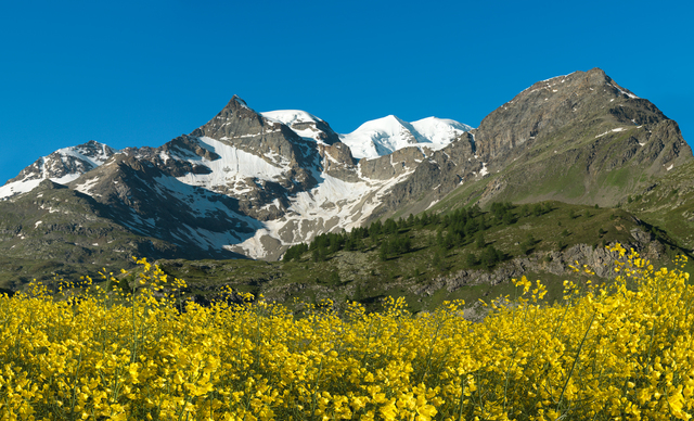 Ralf Peters, ‘Berg Gelb’, 2015, Bernhard Knaus Fine Art
