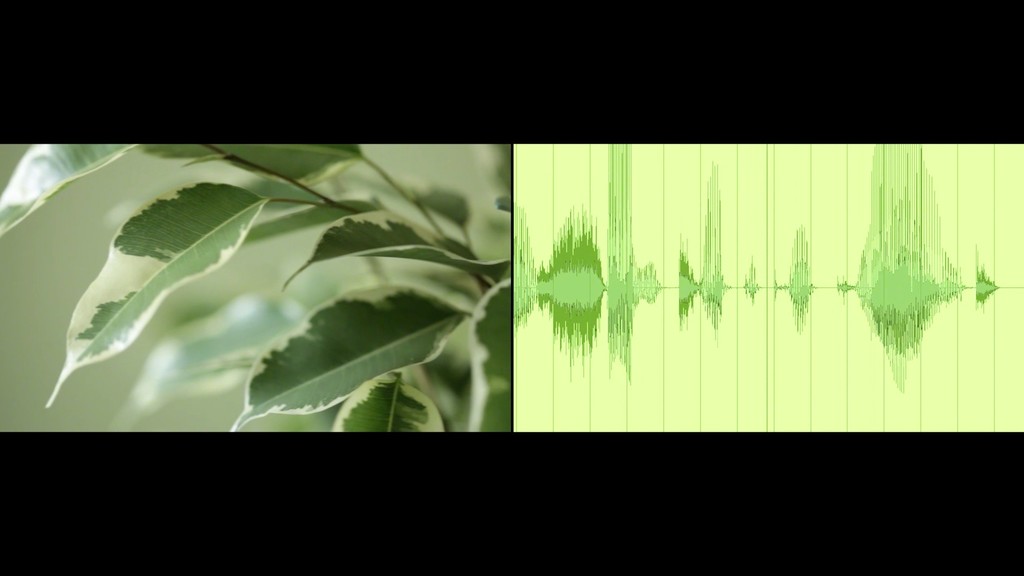 Rachel Pimm, FYE-Kuss e-LASS-tick-uh, two channel HD video, 2014, screenshot. Courtesy of the artist and Tenderpixel. Rachel Pimm, FYE-Kuss e-LASS-tick-uh, two channel HD video, 2014, screenshot. Courtesy of the artist and Tenderpixel.