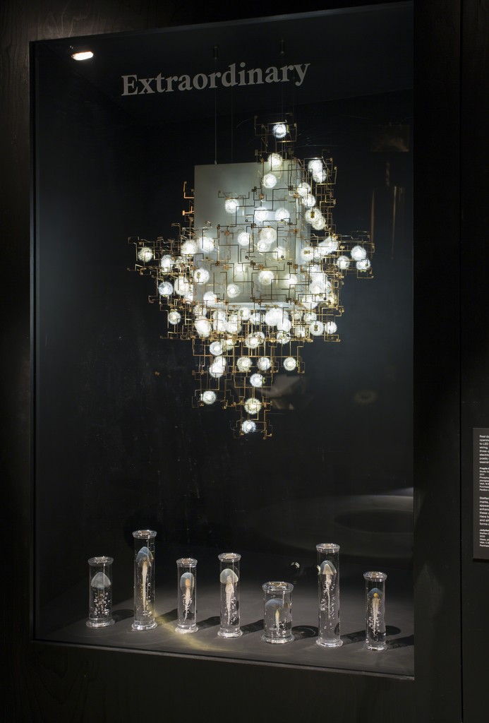 Installation view of 'What is Luxury' a the V&A (c) Victoria and Albert Museum, London Installation view of 'What is Luxury' a the V&A (c) Victoria and Albert Museum, London