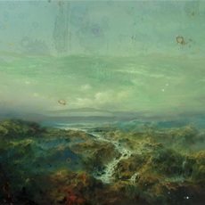 Petri Ala-Maunus