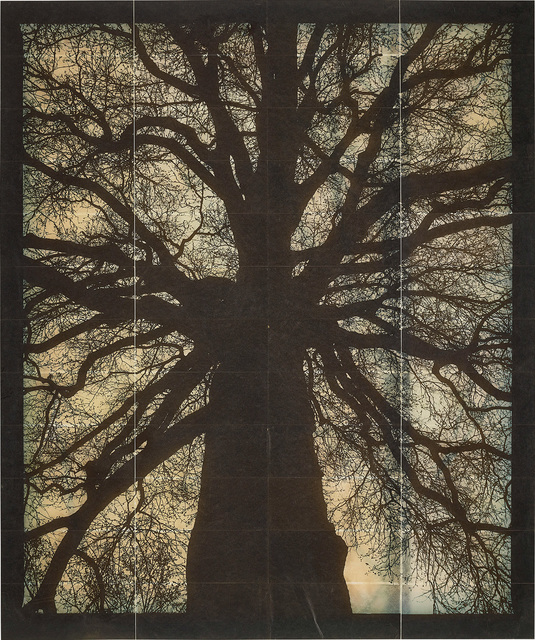 Doug & Mike Starn, ‘Structure of Thought No. 1’, 2001-2006, Phillips