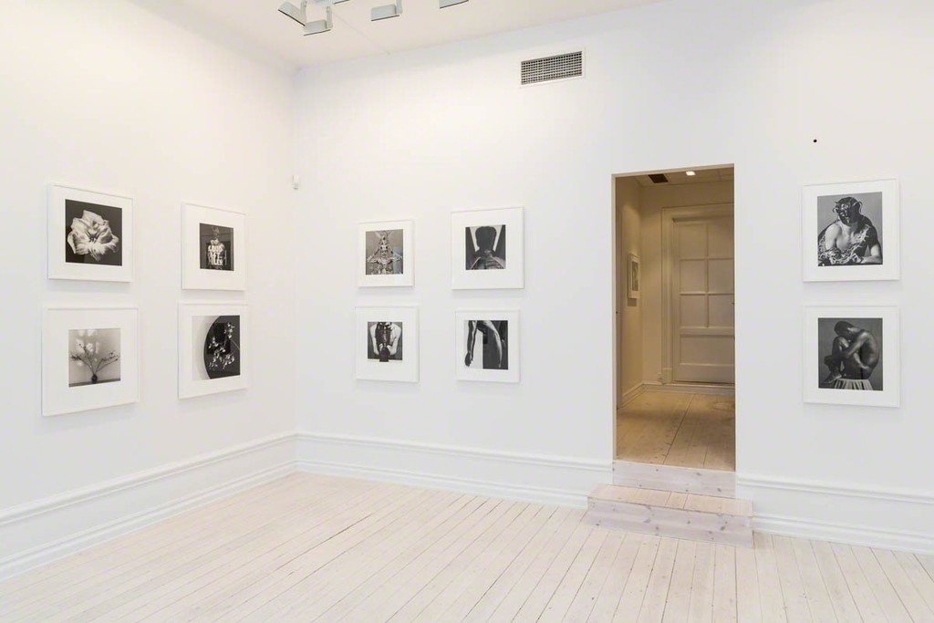 Robert Mapplethorpe Icon Robert Mapplethorpe Icon