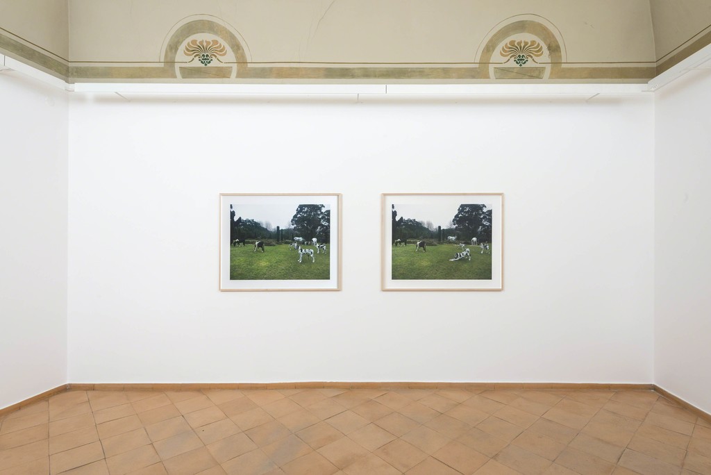 Bethan Huws - installation view Bethan Huws - installation view