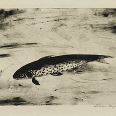 Ida O’Keeffe