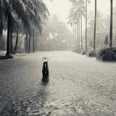 Guillaume Arnoud