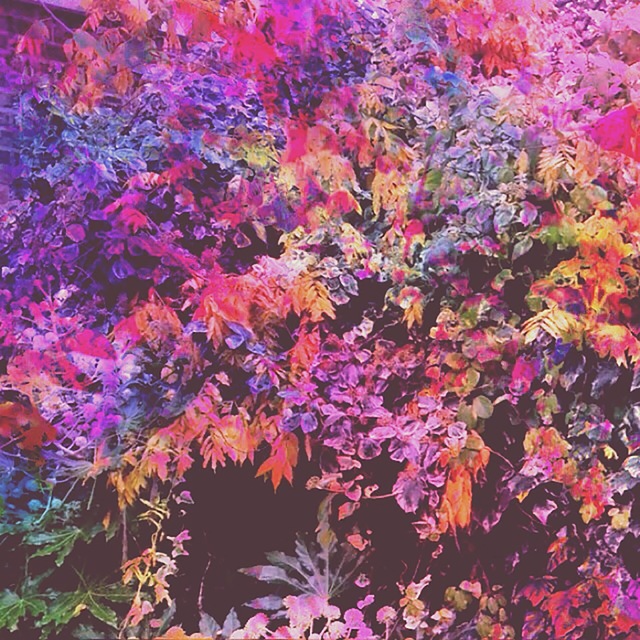 Olivia D'Orazi, ‘Secret Garden’, 2016, Open Mind Art Space
