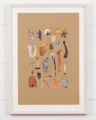 David Woodward, ‘Meditation on the Canadian Bush’, 2014, Drawing, Collage or other Work on Paper, Collage with drawing on paper, Caviar20