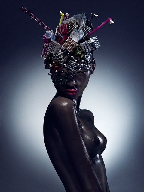 Chen Man, ‘Electronics components N°2’, 2009, Galerie Loft