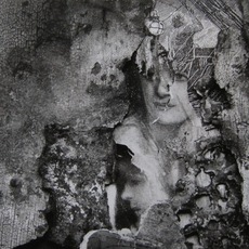 Frederick Sommer