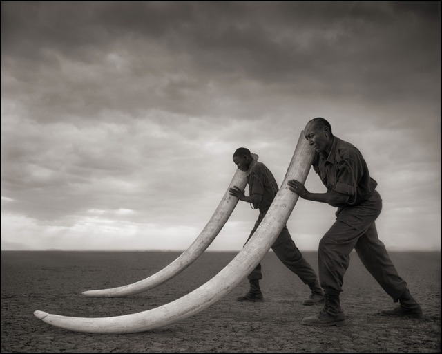 Nick Brandt, ‘Two Rangers with Tusks of Killed Elephant, Amboseli 2011’, 2011, Photography, Archival Pigment Ink Print, photo-eye Gallery