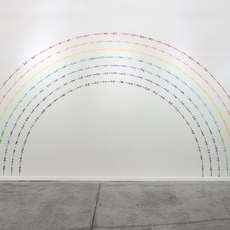 Mircea Cantor