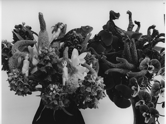 Nobuyoshi Araki, ‘Paradise 2’, 2013, Photography, Michael Hoppen Gallery
