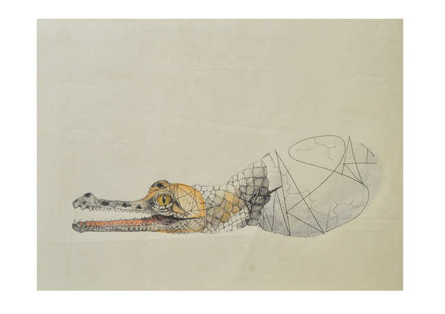 Louis Masai, ‘WWF Series - «A hatch of hope..»’, 2019, NextStreet Gallery