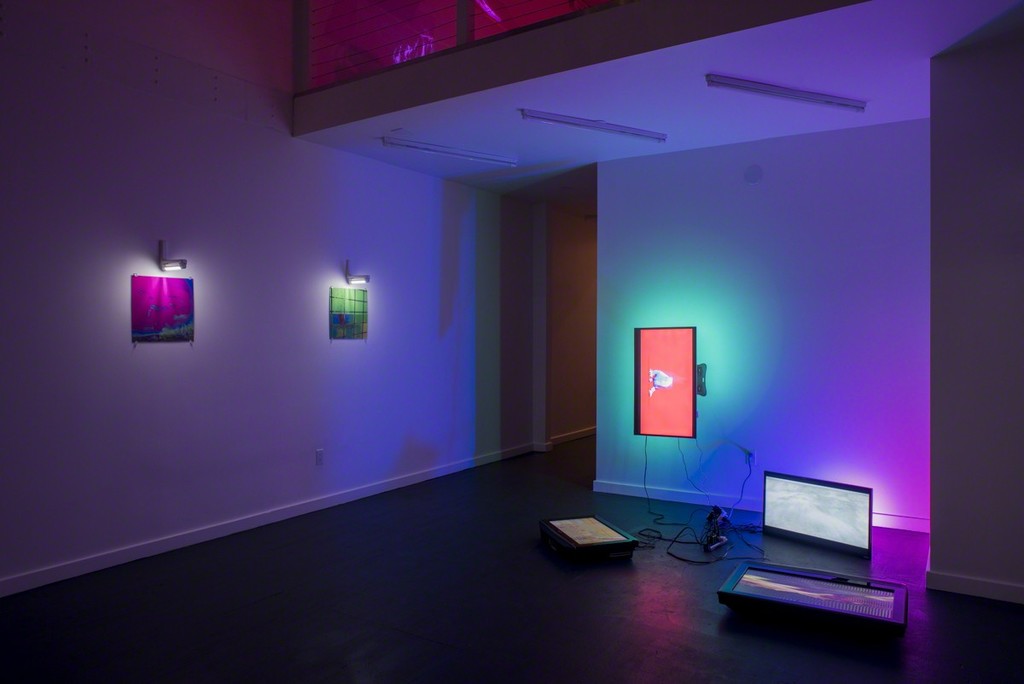 Paula Morales, installation view, 2017 Paula Morales, installation view, 2017