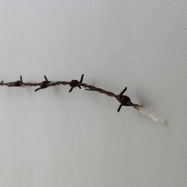NOBUAKI ONISHI, ‘yushitessen’, 2011, Aki Gallery