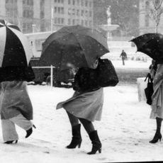 Bill Cunningham | New York, New York