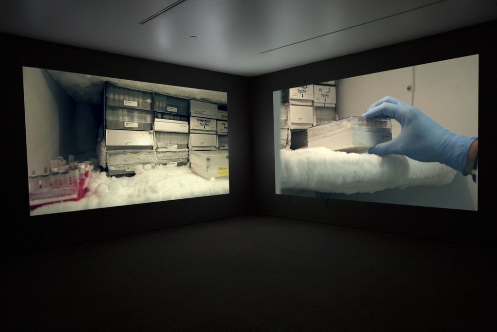 JANET BIGGS
The Persistence of Hope (video still)
2015, two-channel high definition video installation (sound, color), run time: 7:24.
With Arctic footage from Katja Aglert's Winter Event-antifreeze, 2009 (filmed by Janet Biggs). JANET BIGGS
The Persistence of Hope (video still)
2015, two-channel high definition video installation (sound, color), run time: 7:24.
With Arctic footage from Katja Aglert's Winter Event-antifreeze, 2009 (filmed by Janet Biggs).