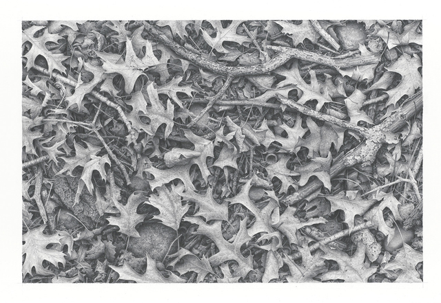 Skip Steinworth, ‘Ground Cover #2’, 2019, M.A. Doran Gallery