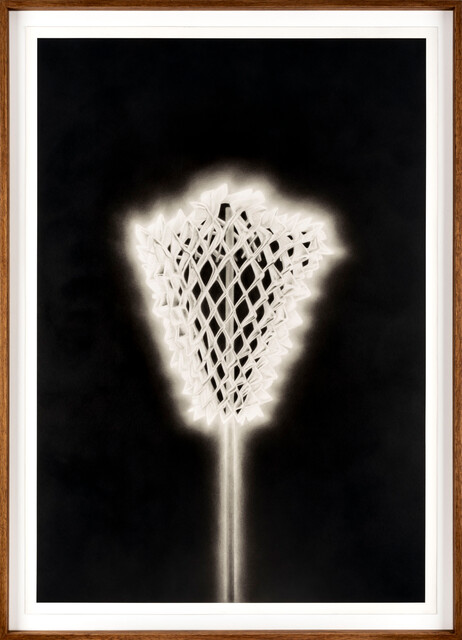 Cage