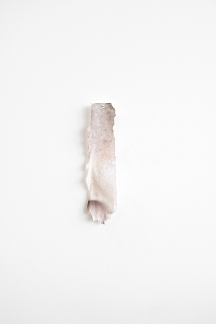 Caroline Mauxion, ‘un morceau 1’, 2018, Photography, Ink jet print mounted on Dibond, Galerie Simon Blais