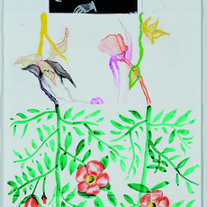 John Newsom