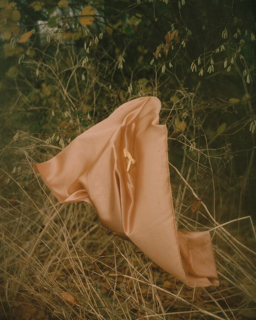 Elizabeth Gabrielle Lee, ‘Serai (Lemongrass)’, 2018, A.I. Gallery