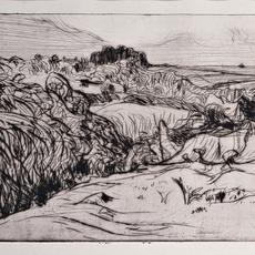 Roderic O'Conor