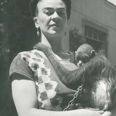 Fritz Henle