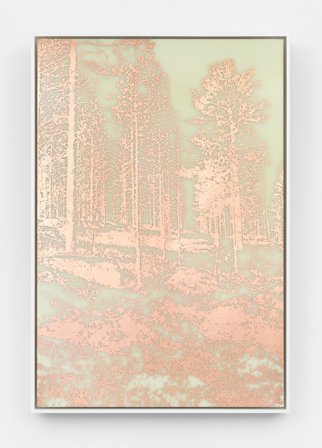 James Hoff, ‘Useless Landscape No. 24’, 2016, Copper etching on fiberglass, aluminum, wood, lacquer, Callicoon Fine Arts