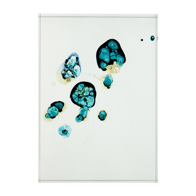 Meaghan Matthews, ‘Confocale Marine’, 2019, Elevastor