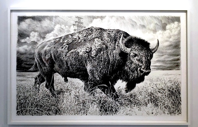Rick Shaefer, ‘Bison IV’, 2015, Drawing, Collage or other Work on Paper, Charcoal on vellum, Sears-Peyton Gallery