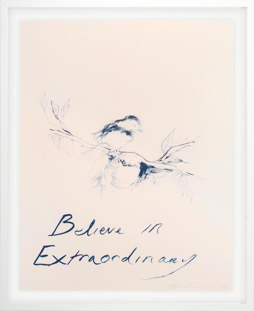 Tracey Emin - Believe in Extraordinary