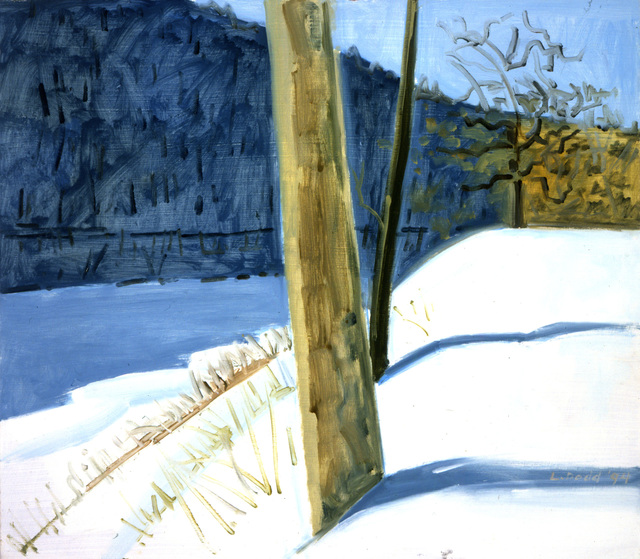 Lois Dodd, ‘Water Gap Shadow’, 1994, Painting, Oil on Masonite, Alexandre Gallery