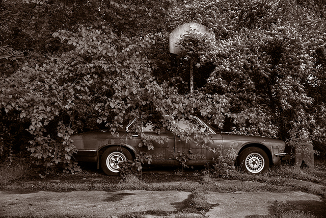 Gary Beeber, ‘Abandoned Jaguar’, 2019, Photography, Archival Inkjet print, Los Angeles Center of Photography