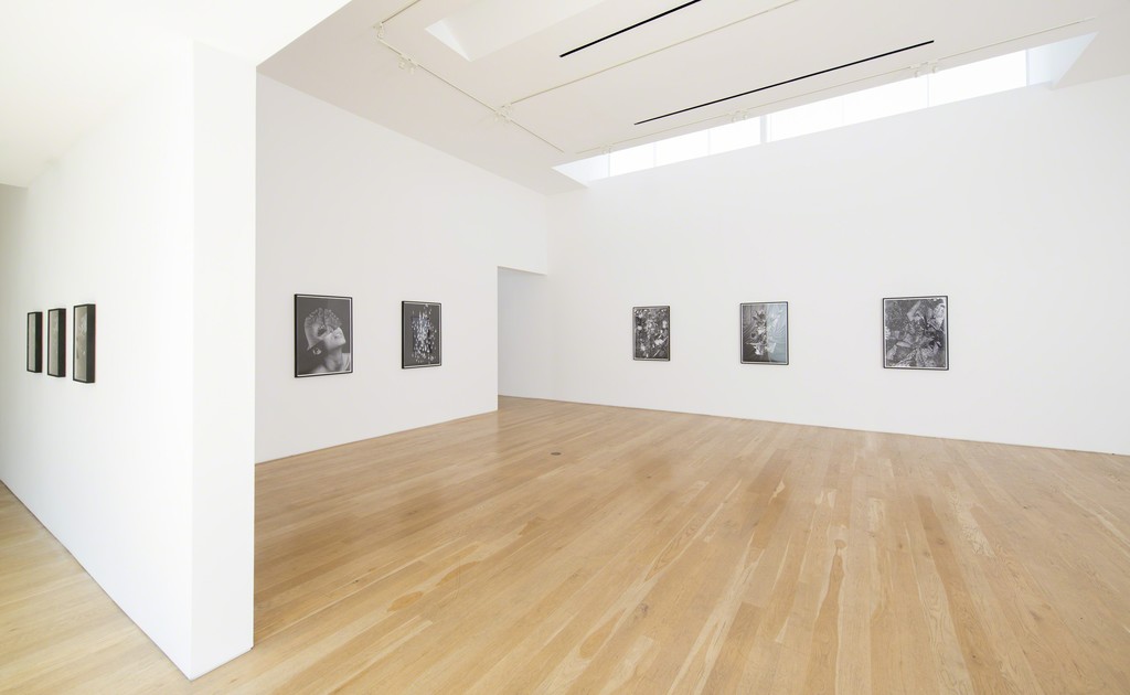 Installation view of Fay Ray "Part Object" 2014. Installation view of Fay Ray "Part Object" 2014.