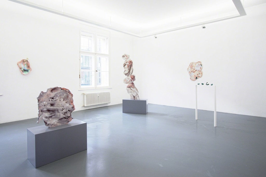 Rachel de Joode
Surfaces – Installation view, 2015 Rachel de Joode
Surfaces – Installation view, 2015
