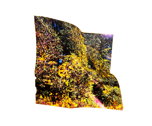 Colleen Fitzgerald, ‘Land & Sea V’, 2017-2018, Photography, Archival Pigment Print, photo-eye Gallery