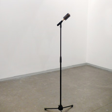 Ceal Floyer