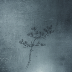 Zhu Jianzhong