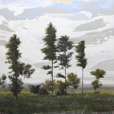 Peter Hoffer