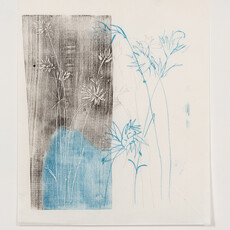 Phillippa Peckham