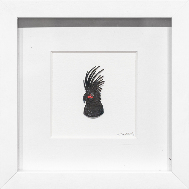 Nayan and Vaishali, ‘Palm Cockatoo Portrait’, 2018, Paradigm Gallery + Studio