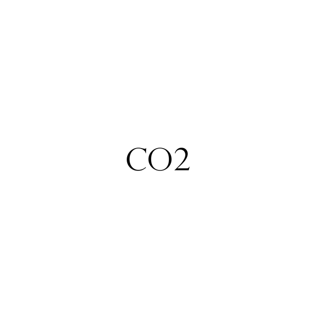 CO2 logo