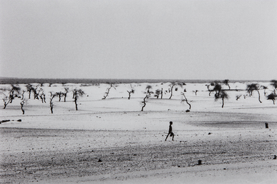 Site of the now dried Lake Faguibine, Mali, Africa
