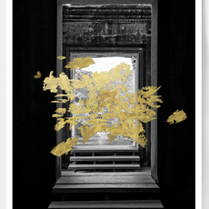 Andrea Alkalay