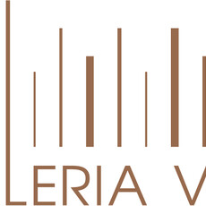 GALLERIA VENTI STUDIO logo