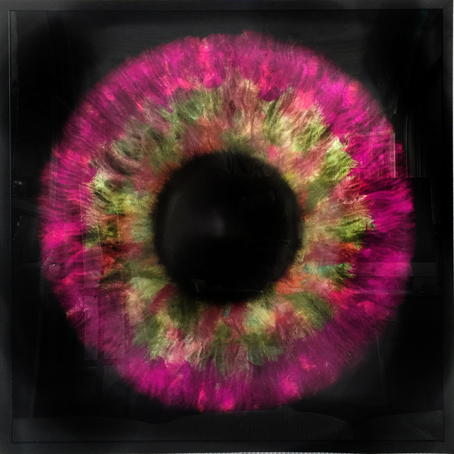 Daniel Gastaud, ‘Iris Flowers’, 2017, Eden Fine Art