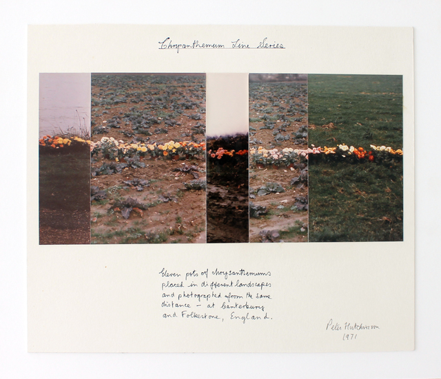 Peter Arthur Hutchinson, ‘Chrysanthemum Line Series’, 1971, Gaa Gallery