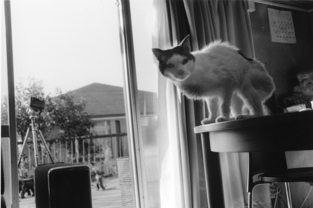 Nobuyoshi Araki, ‘Sentimental Journey / Spring Journey’, 2010, Foam Fotografiemuseum Amsterdam